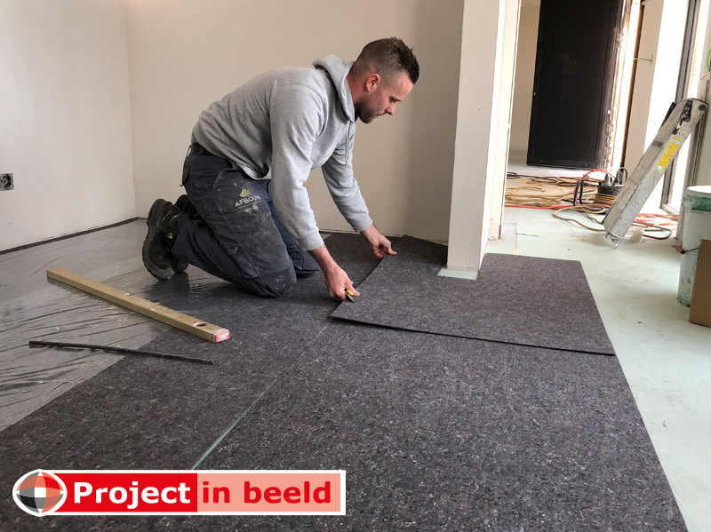 Elroy_Kivits_fils_setter_PrimaCover_Defend